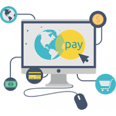 payment gateway-228x228